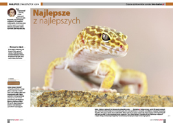Najlepsze z najlepszych